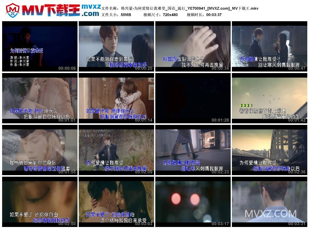 韩兴蒙-为何爱情让我难受_国语_流行_YE700941